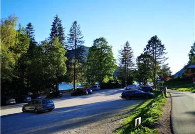 Eine ruhige Straße umgeben von Bäumen und Parkplätzen. Die Sonne scheint und der Himmel ist klar blau.