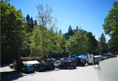 Ein Parkplatz umgeben von grünen Bäumen und blauen Himmel. Viele Autos sind sichtbar, und die Umgebung wirkt einladend.