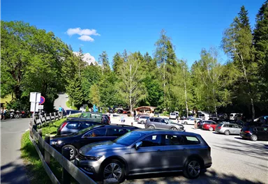 Ein Parkplatz umgeben von Bäumen und einer grünen Landschaft. Mehrere Autos stehen unter einem klaren blauen Himmel.