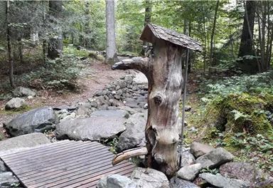 Scheffau_Trinkwasser-Brunnen_Kneippweg_Wilder Kaiser