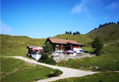 Scheffau_Walleralm_Sommer