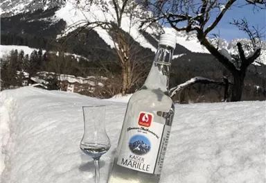 A bottle of Kaiser Marille stands in the snow with a small glass beside it. In the background, snow-covered mountains and trees can be seen.