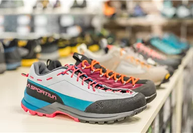 Schuhe 1