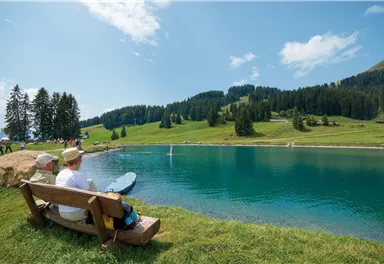 A quiet lake surrounded by green meadows and trees. A person is sitting on a bench and enjoying the view.