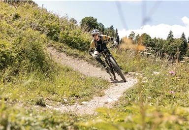 A mountain biker rides on a narrow path through a green landscape. The sun is shining and nature is alive around him.