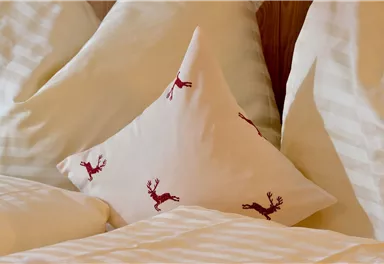 Ein bequemes Bett mit gestreiften Kissen und einem dekorativen Kissen mit Rentierdrucken. Die Atmosphäre ist gemütlich und einladend.