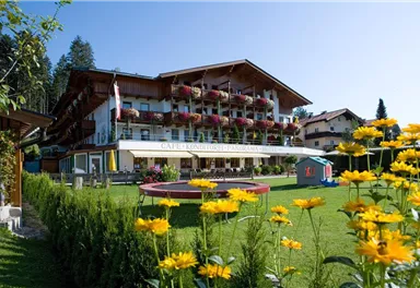 Söll_Alpenpanorama_Wilder Kaiser_Sommer1
