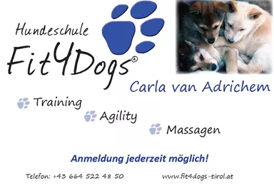 A dog school focused on training, agility, and massages. The picture shows cute puppies resting together.