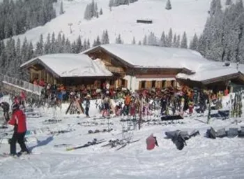 Söll_AuAlm_Wilder Kaiser