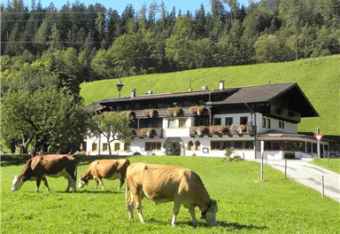 Söll_Außenansicht_Wilder Kaiser