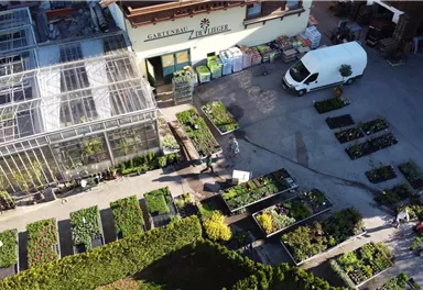 Ein Garten mit verschiedenen Pflanzen und Beeten, umgeben von einem Gewächshaus. Ein Transporter steht in der Nähe des Geschäftseingangs.