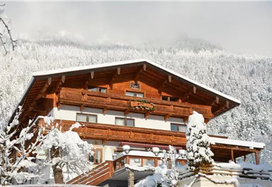 Söll_gasthof badhaus söll winter 01_2016 (65)_Wild