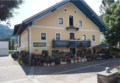 Ein charmantes gelbes Haus mit einem blauen Balkon. Vor dem Haus steht ein Blumenladen mit vielen Pflanzen.