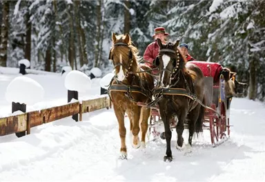 Söll_Kutschenfahrten Weiss_Wilder Kaiser