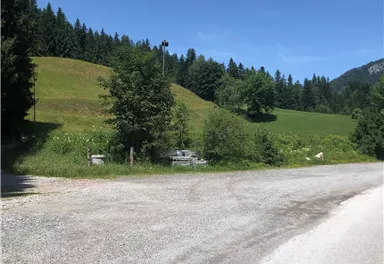 Eine ruhige, grüne Landschaft mit sanften Hügeln und dichter Bewaldung. Der Weg führt zu einem offenen Bereich, ideal für einen Spaziergang in der Natur.