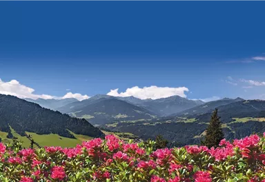 Söll_Panorama_Wilder Kaiser