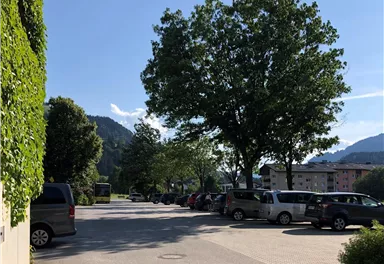 A quiet street with trees and parked cars. The sky is clear and blue, with mountains visible in the background.