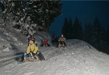 Eine Gruppe von Kindern rodelt fröhlich einen schneebedeckten Hang hinunter. Die Szenerie ist nächtlich und wird von einem klaren, winterlichen Himmel umgeben.