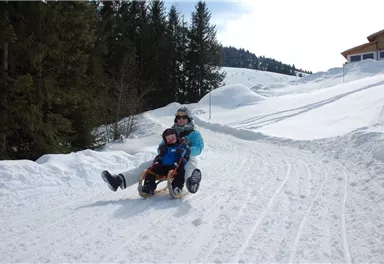 Ein Erwachsener und ein Kind rodeln auf eine schneebedeckte Piste. Die Umgebung ist winterlich mit Bäumen und einem klaren Himmel im Hintergrund.