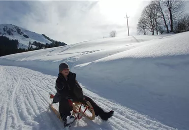 Söll_Rodelverleih6_WilderKaiser
