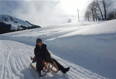 Ein Junge fährt auf einem Schlitten die schneebedeckte Piste hinunter. Im Hintergrund sind Berge und Bäume zu sehen.
