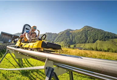 Eine Sommerrodelbahn mit einem Kind und einem Erwachsenen, die viel Spaß haben. Im Hintergrund sind grüne Hügel und ein klarer blauer Himmel zu sehen.