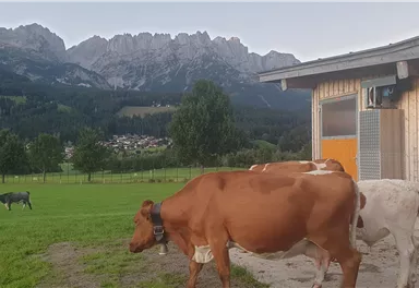 Stallung mit Auslauf