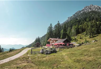 Steiner Hochalm_Scheffau