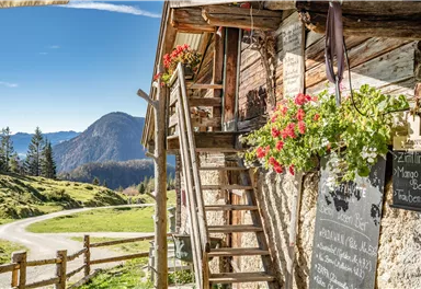 Eine malerische Berghütte mit blühenden Blumen und einer Holztreppe. Im Hintergrund sind grüne Wiesen und Berge unter klarem blauen Himmel zu sehen.