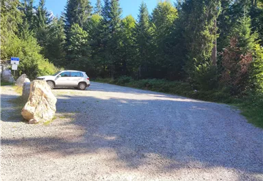 Ein Kiesparkplatz umgeben von hohen Bäumen. Ein weißes Auto steht am Rand des Parkplatzes.