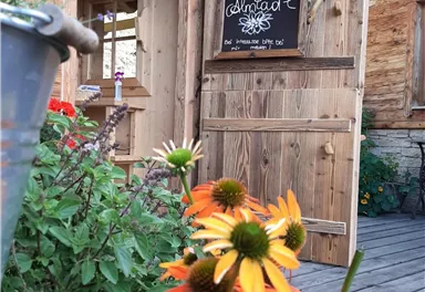 Ein Eingang zu einem Holzhaus mit einem Schild, das "Teresa's Blühende" zeigt. Im Vordergrund blühen orangefarbene und gelbe Blumen.