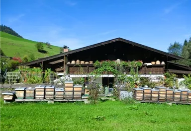 A traditional farmhouse surrounded by green meadow. In front of the building are beehives and blooming plants.