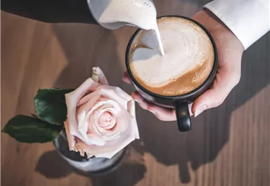 vidum_lounge_kaffee01_1440x1440