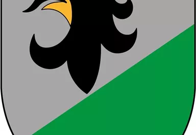 A coat of arms with a black eagle head on a gray background and a green diagonal area. The eagle has a yellow beak and looks majestic.