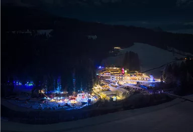 A festively illuminated winter landscape with a small village amidst snow-covered trees. The lights create a cozy atmosphere at night.