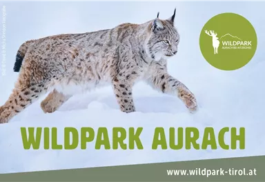 Wildpark Aurach 1
