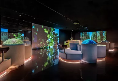 A modern interior design with interactive elements and projections of nature motifs. There are round seating options and subdued lighting.