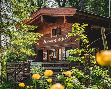 A cozy wooden cabin in a forest, surrounded by green trees and colorful flowers. The cabin has large windows and an inviting porch.