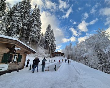 A snow-covered landscape with many trees and a blue sky. Some people are walking along the snowy path.