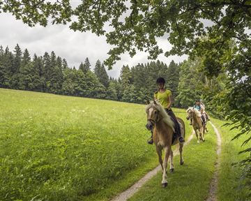 Zwei Reiter auf einem schmalen Pfad durch eine grüne Wiese. Umgeben von Bäumen und einer ruhigen Landschaft.