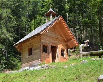 A small, charming wooden church stands surrounded by lush greenery in the forest. The roof has a small spire and there is a tree trunk nearby.