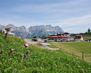 Going_Blattlalm_Sommer_Wilder Kaiser