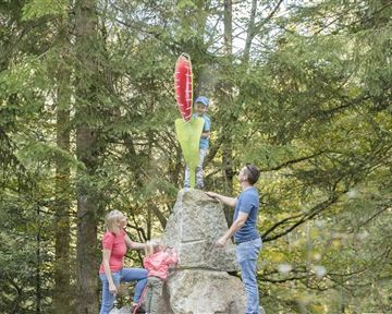 Eine Familie klettert an einem großen Stein im Wald. Ein Kind steht oben auf dem Stein und hält ein buntes Schild.