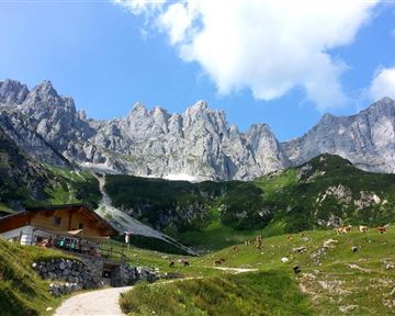 Going_Obere Regalm_Wilder Kaiser