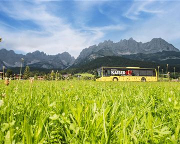 A yellow tour bus is standing on a meadow in front of impressive mountains. The sky is clear and sunny.