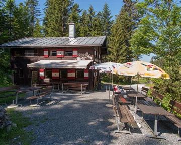 A cozy mountain cabin surrounded by trees. In front of the cabin, there are benches and tables, perfect for a break in nature.