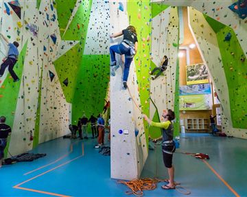 A sports climbing hall with colorful climbing walls and several climbers. Some people are belaying the climbers while others are climbing on the wall.