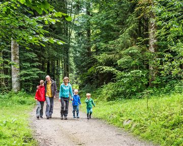 Familie Wandern_Scheffau_Foto von Felbert_Reiter (2)