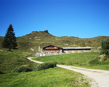 Eine gemütliche Berghütte umgeben von grünen Wiesen und einem klaren blauen Himmel. Im Hintergrund sind sanfte Hügel und ein einzelner Baum sichtbar.