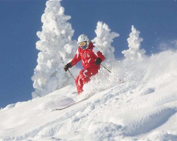 Ein Skifahrer in roter Kleidung fährt durch frischen, tiefen Schnee. Im Hintergrund sieht man schneebedeckte Bäume und einen klaren blauen Himmel.